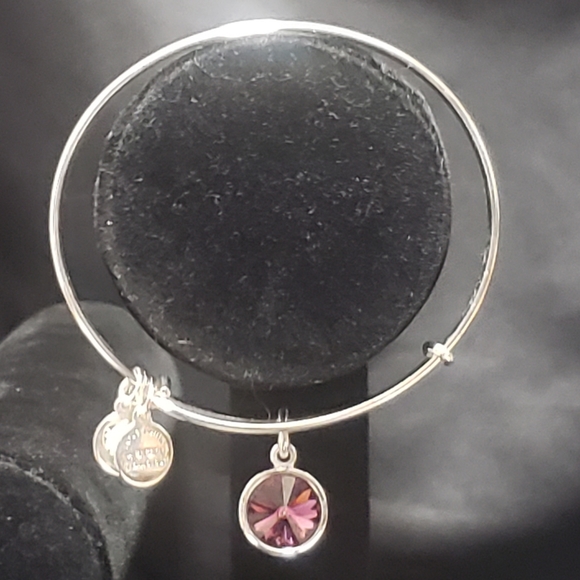 NWOT Alex & Ani RS February Swarovski Bracelet - Picture 5 of 11